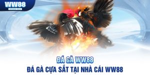 da-ga-cua-sat-banner