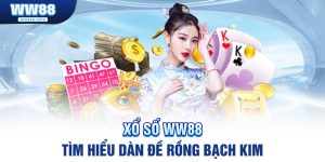 dan-de-rong-bach-kim-banner