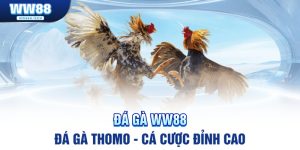 da-ga-thomo-banner