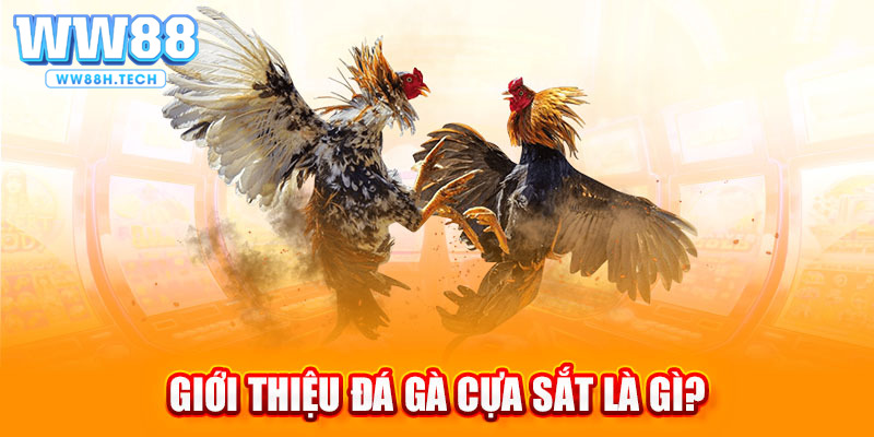 Tìm hiểu đôi nét về đá gà cựa sắt