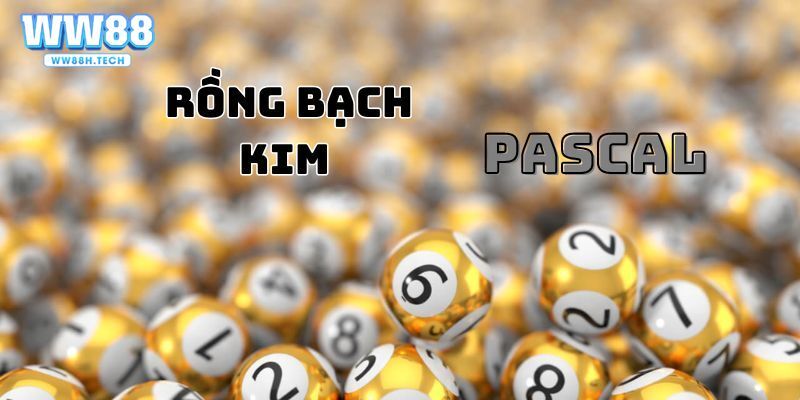 Bạch kim 888 phù hợp với người chơi yêu thích sự mạo hiểm 